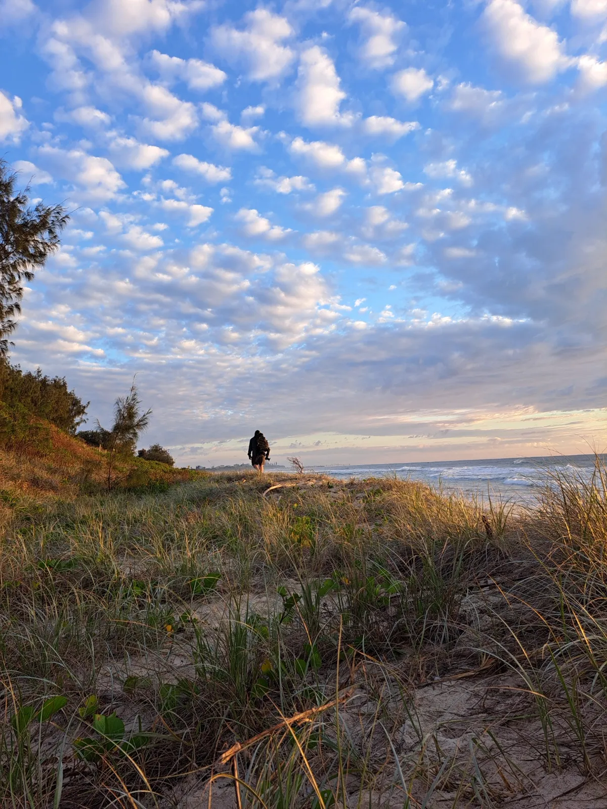 A walker on the dune path in first light