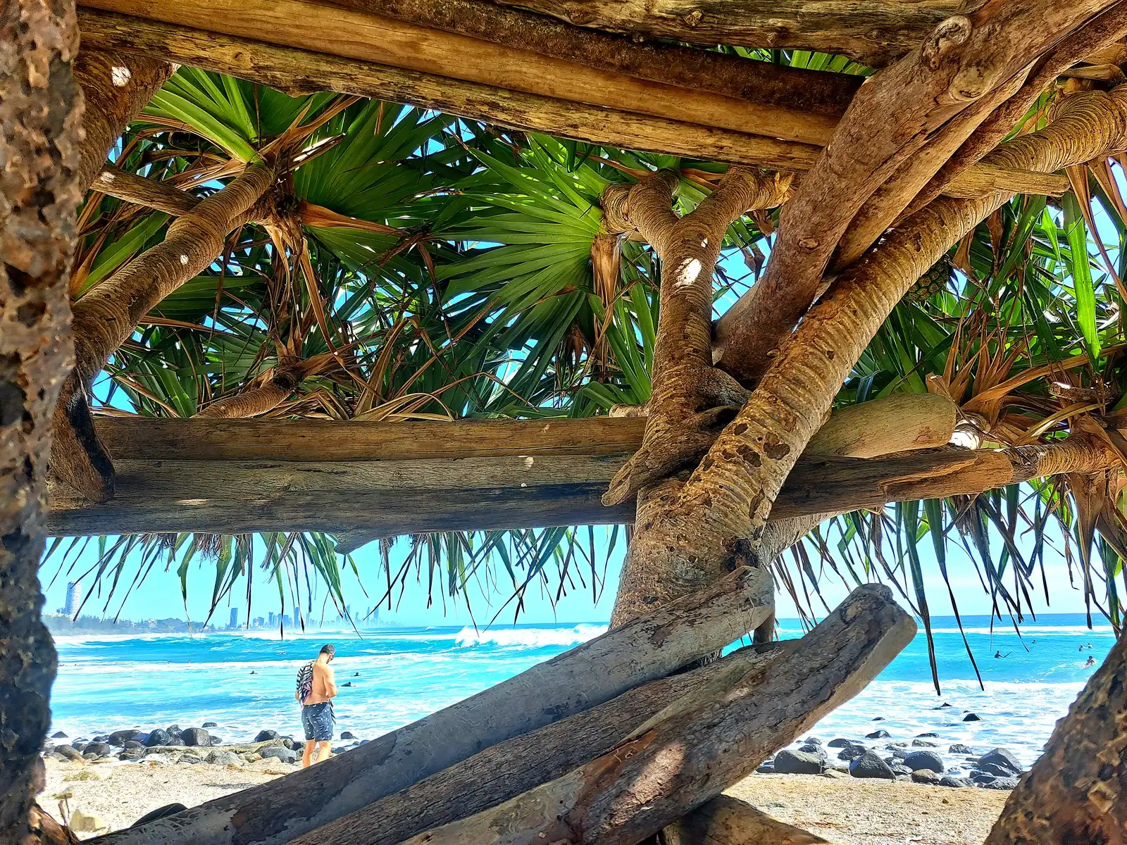 Looking through the pandanus at turquoise water